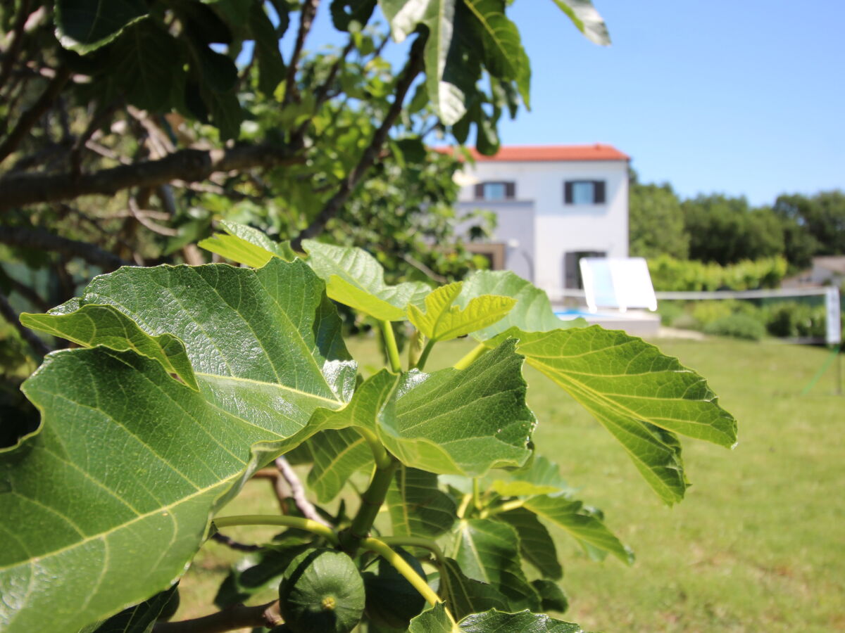 Villa Berni - Outdoor photo 4