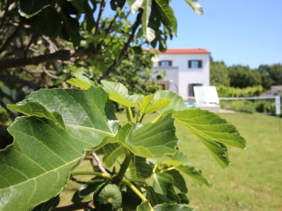 Villa Berni - Outdoor photo 4