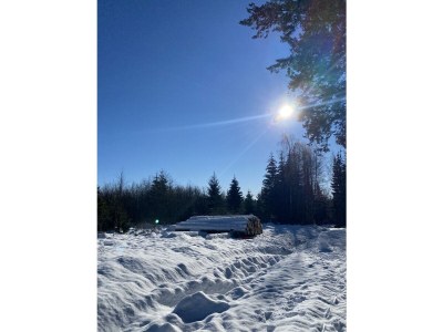 Holiday apartment Kleines Berghaus - App 2 - Environment photo 19