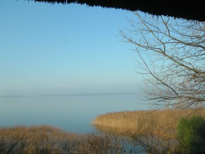 Holiday house -The Fuchsbau - apartment II 1 - Environment photo 19