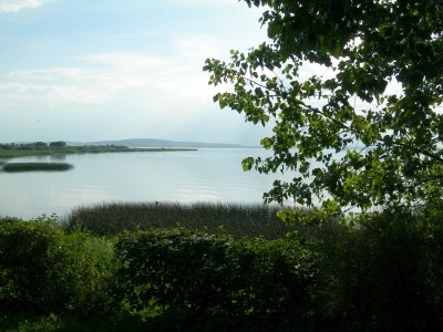 Holiday house -The Fuchsbau - apartment II 1 - Environment photo 22