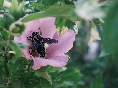 Holiday apartment Dolce Vista - Apartment "Lago" - Outdoor photo 13