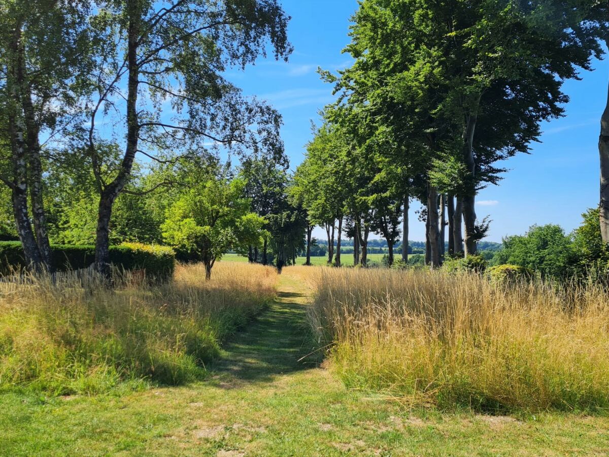 Holiday house Cherry trees in blossom - Outdoor photo 4