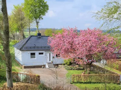 Holiday house Cherry trees in blossom in Monschau - Holiday house