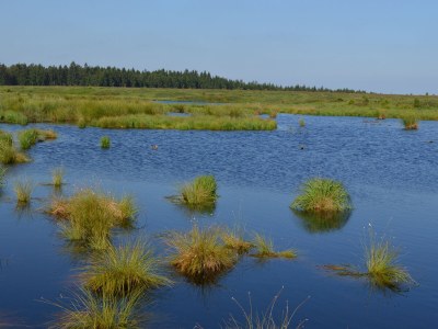 Holiday house Cherry trees in blossom - Environment photo 33