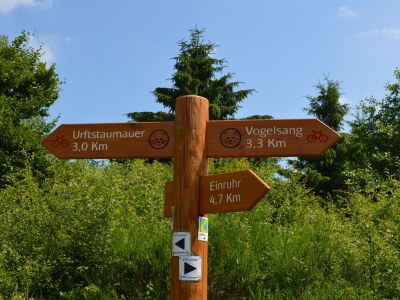 Holiday house Cherry trees in blossom - Environment photo 34