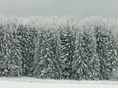 Holiday house Cherry trees in blossom - Environment photo 36