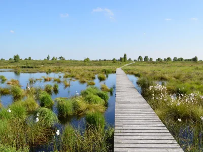 Holiday house Cherry trees in blossom - Environment photo 37