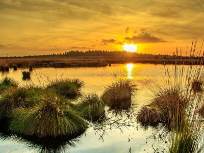 Holiday house Cherry trees in blossom - Environment photo 38