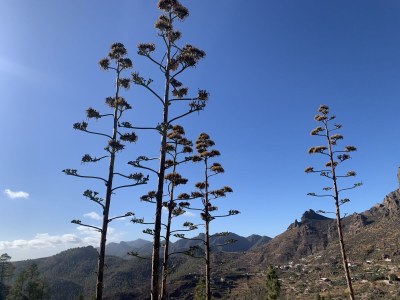 Holiday apartment Vista Janubio - Environment photo 16