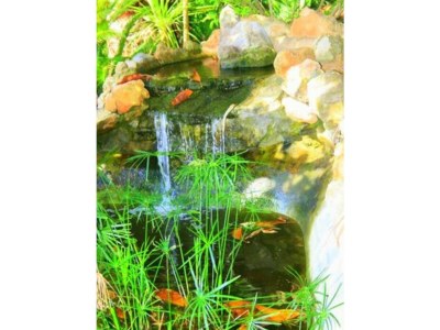 Villa No title - Outdoor photo 9