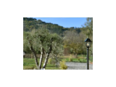 Holiday apartment Podere La Querciola - Amor - Outdoor photo 14