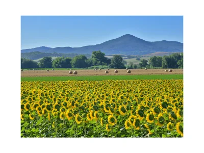 Holiday apartment Podere La Querciola - Amor - Environment photo 22