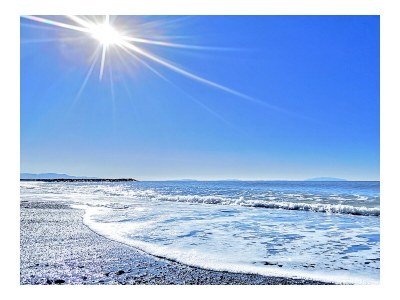 Holiday apartment Podere La Querciola - Amor - Environment photo 24