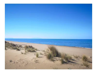 Holiday apartment Podere La Querciola - Amor - Environment photo 26