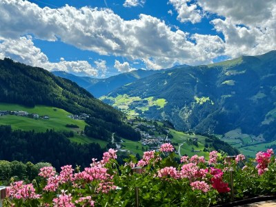 Apartment Apartment/2 Schlafräume/Dusche, WC 2-4 in Gerlosberg - Apartment