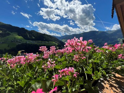 Apartment Ap./Wohn-Schlafraum/1 Schlafraum/Du,WC 2-4 - Outdoor photo 4