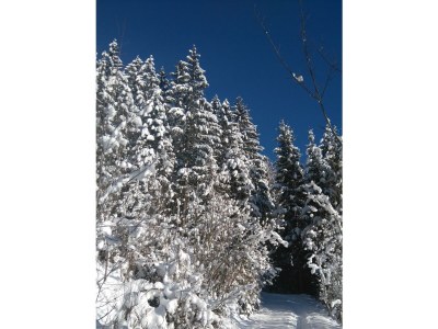 Apartment Ap./Wohn-Schlafraum/1 Schlafraum/Du,WC 2-4 - Outdoor photo 13