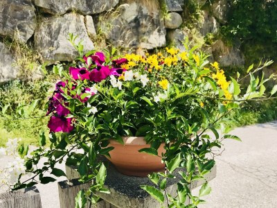 Apartment Ap./Wohn-Schlafraum/1 Schlafraum/Du,WC 2-4 - Outdoor photo 15