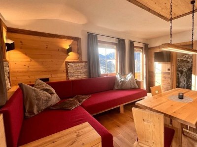 Apartment Ap./Wohn-Schlafraum/1 Schlafraum/Du,WC 2-4 - Features photo 23