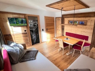 Apartment Ap./Wohn-Schlafraum/1 Schlafraum/Du,WC 2-4 - Features photo 24