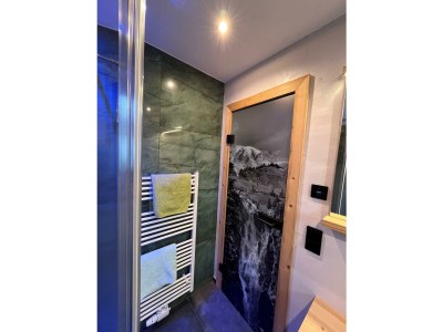 Apartment Ap./Wohn-Schlafraum/1 Schlafraum/Du,WC 2-4 - Features photo 27