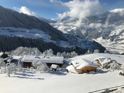 Apartment Ap./Wohn-Schlafraum/1 Schlafraum/Du,WC 2-4 - Features photo 32