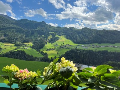 Apartment Ap./Wohn-Schlafraum/1 Schlafraum/Du,WC 2-4 - Features photo 33