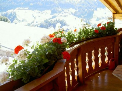 Apartment Ap./Wohn-Schlafraum/1 Schlafraum/Du,WC 2-4 - Features photo 34