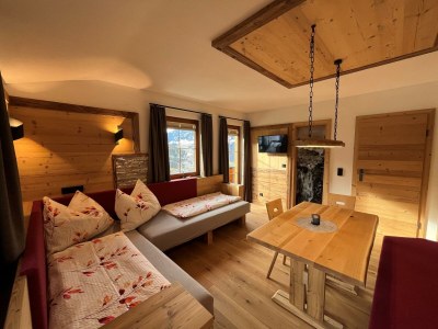 Apartment Ap./Wohn-Schlafraum/1 Schlafraum/Du,WC 2-4 - Features photo 38