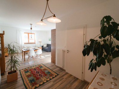 Apartment Traunplatzl - Outdoor photo 11