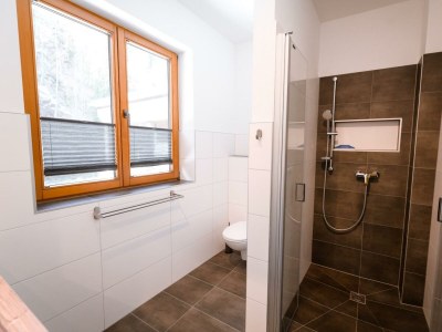 Apartment Traunplatzl - Outdoor photo 17