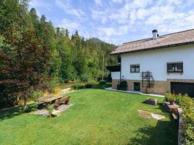 Apartment Traunplatzl - Outdoor photo 66