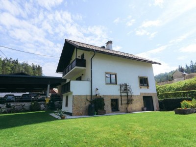 Apartment Traunplatzl - Outdoor photo 69