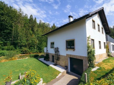 Apartment Traunplatzl - Outdoor photo 72