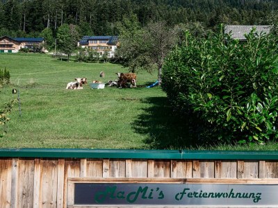 Apartment Appartement - Outdoor photo 14