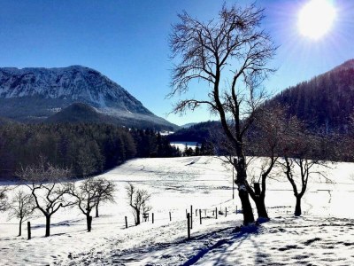 Apartment Appartement - Outdoor photo 20