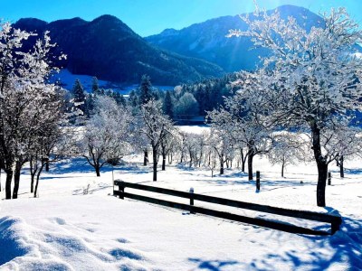 Apartment Appartement - Outdoor photo 38