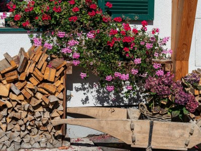 Holiday apartment Ferienwohnung Flora - Outdoor photo 21