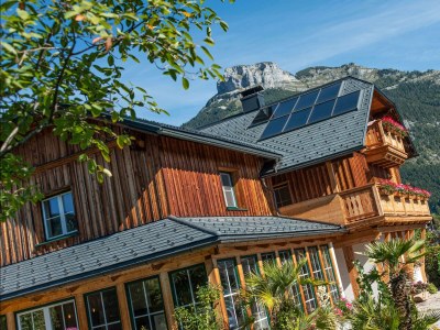 Holiday apartment Ferienwohnung Flora - Outdoor photo 24