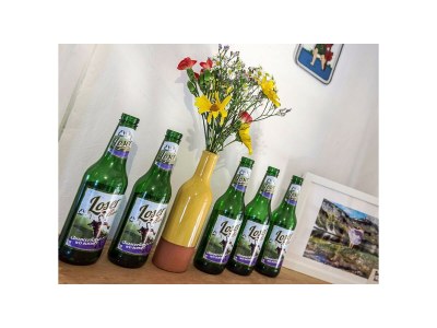 Holiday house Ferienhaus Altaussee - Features photo 38