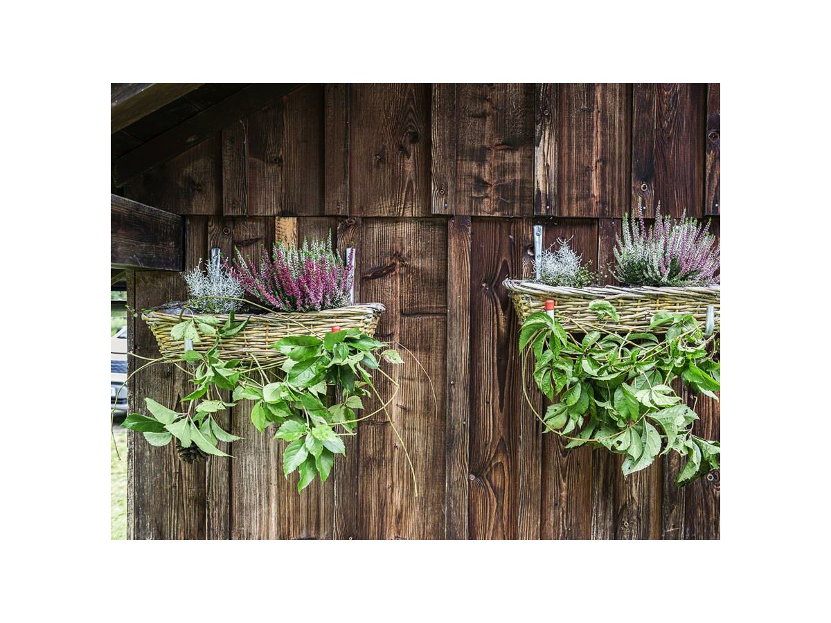 Holiday house Ferienhaus Jagdhaus - Outdoor photo 5