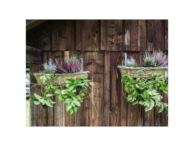 Holiday house Ferienhaus Jagdhaus - Outdoor photo 5