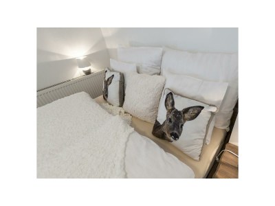 Apartment Appartement Gertrude Hofer - Features photo 17