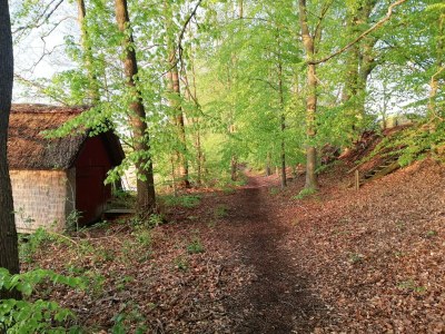 Holiday house House Schaalsee - Environment photo 32