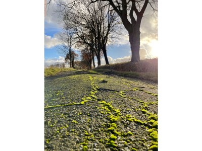 Holiday house House Schaalsee - Environment photo 33