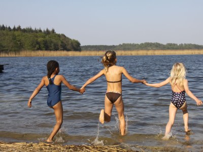 Holiday house House Schaalsee - Environment photo 36