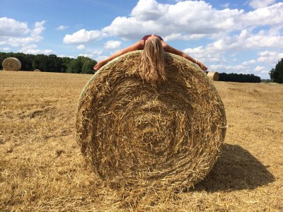 Holiday house House Schaalsee - Environment photo 40