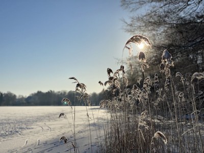 Holiday house House Schaalsee - Environment photo 41