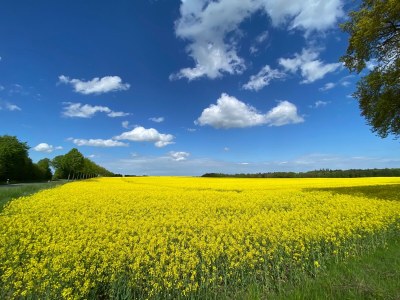 Holiday house House Schaalsee - Environment photo 43